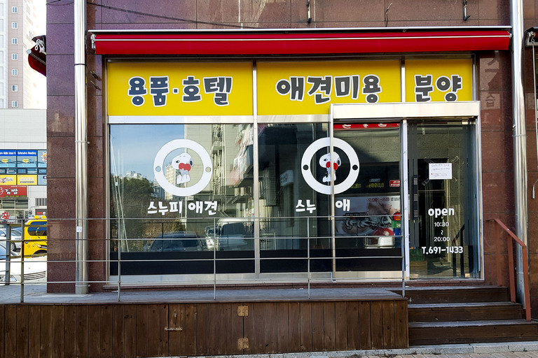 외부선팅